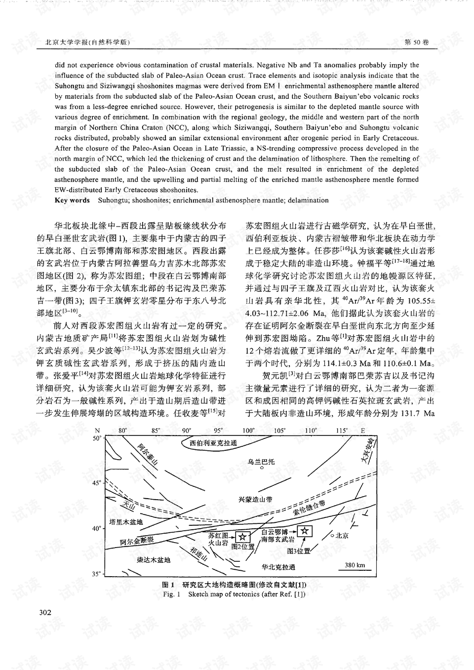 建筑行业中常用的粘合剂化合物A的多元组成与特性分析