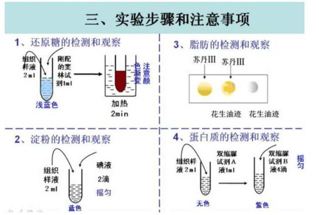 造纸的实验原理是什么