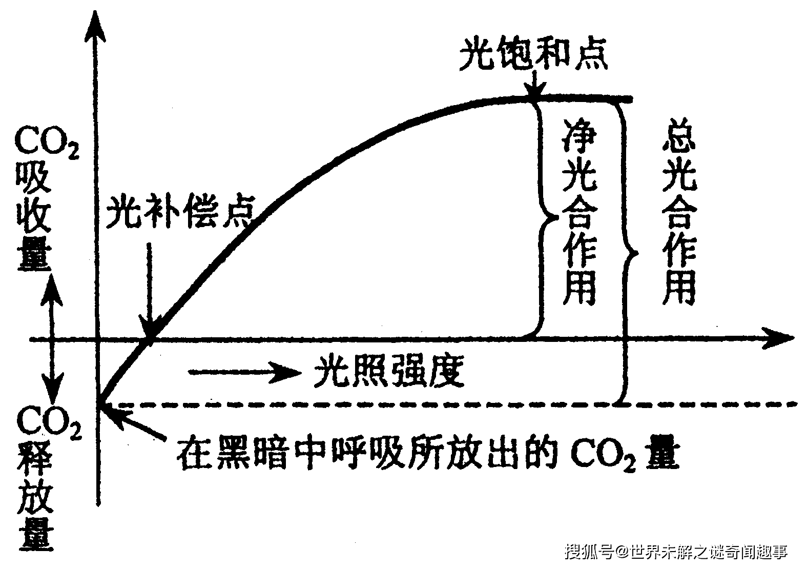 生物农药与助滤剂工作原理区别