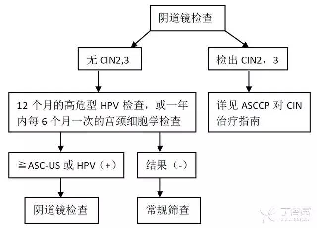 拉猪皮需要什么手续