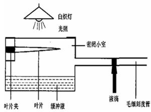 塑料建材与螺旋式破碎机的关系