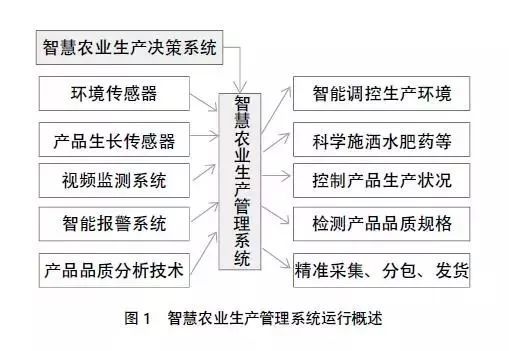 棉麻工艺