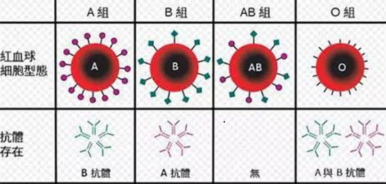 o型血男人精子质量