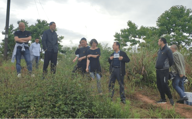 韩国历史题材